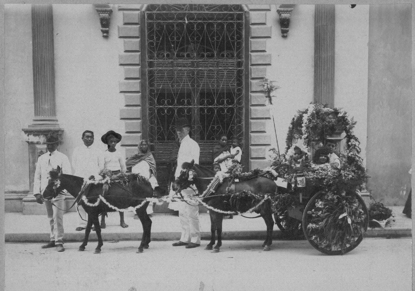 Battle of the flowers.jpg (246113 bytes)