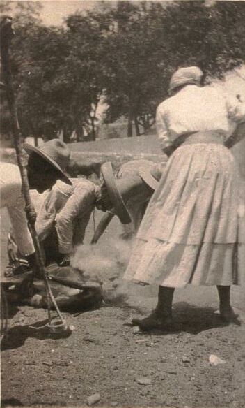Beatriz branding cattle at Uayalceh 1920.jpg (41231 bytes)