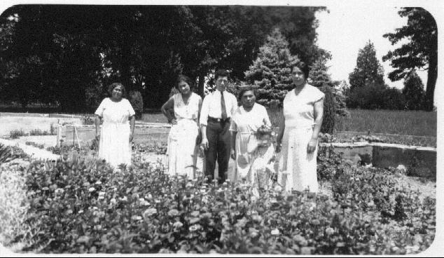 Dunedin adults.jpg (57423 bytes)