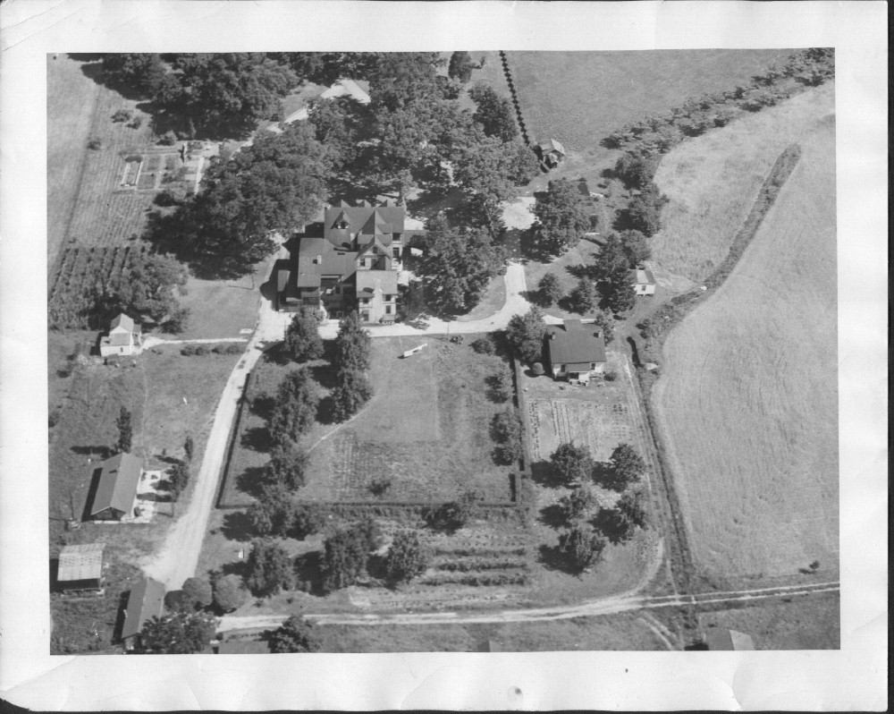 Dunedin air.JPG (497104 bytes)