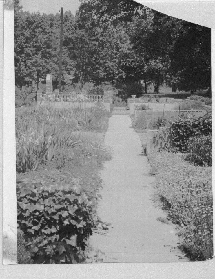 Dunedin garden.jpg (122465 bytes)