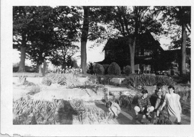 Dunedin kids.jpg (65215 bytes)