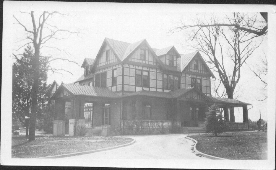 Dunedin.JPG (135894 bytes)