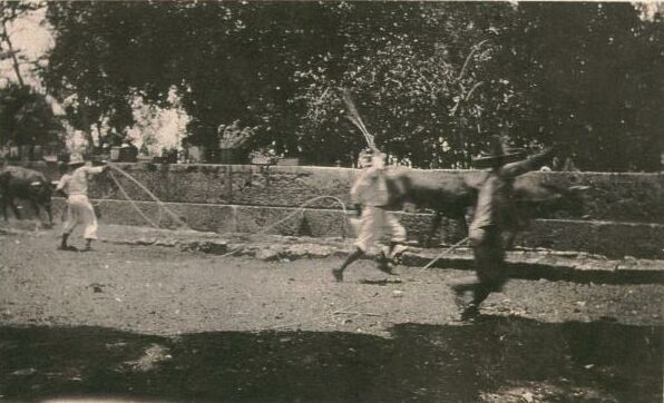 Rope work at Uayalceh 1920.jpg (46788 bytes)