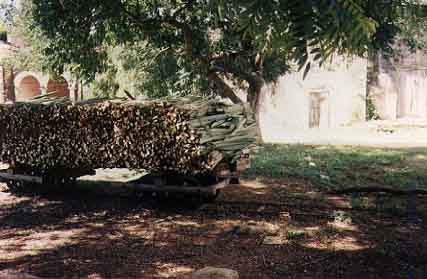 WAGON.JPG (29331 bytes)