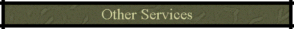 Other Services