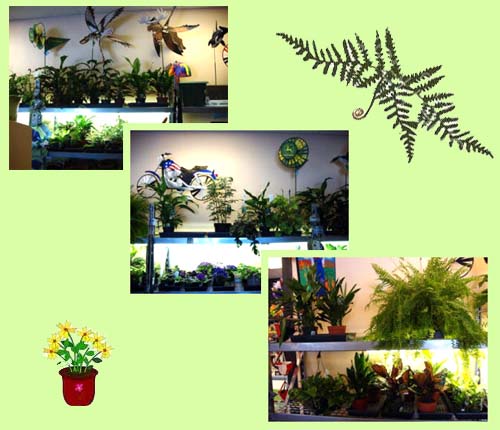 Full garden center with houseplants 