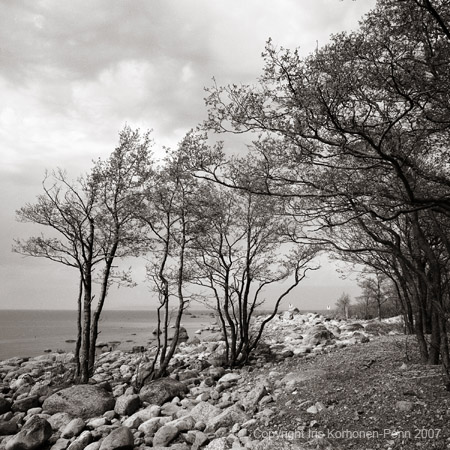 Ristisaari, Finland, 2007