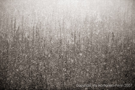 Snow storm, Pelly Mountains, Yukon, Canada, 2004