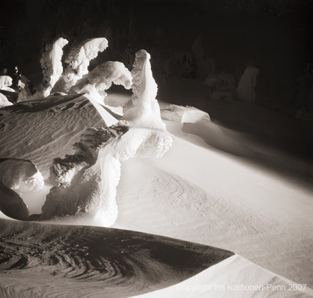 Winter Trolls, Eaglecrest, Juneau, Alaska, 2001