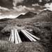 Bridge Into Wild, Kelsall Watershed, British Columbia, Canada, 2002