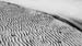 White sand, Sandy beach, Juneau, Alaska 2007