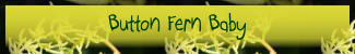Button Fern Baby