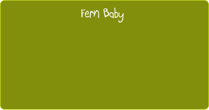 Fern Baby