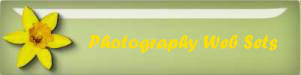 Photography Web Sets