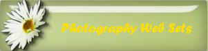 Photography Web Sets