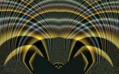 arachnid