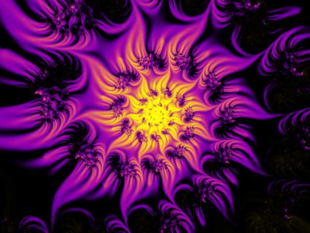 Night Flower