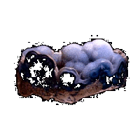 chalcedony