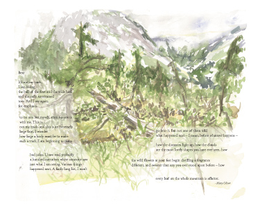 Mary Oliver Bear
