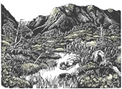 Sitka mountains muskeg