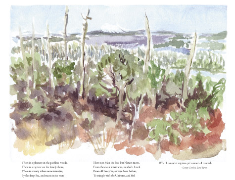 kanga bay sitka watercolor