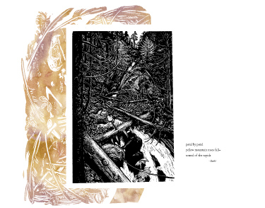 waterfall Basho