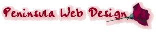 webdesign.gif (6001 bytes)