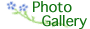 Link to Photos