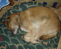 Sleeping Keowee
