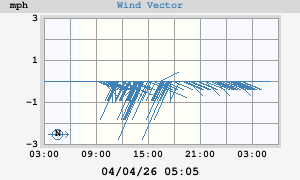Wind Vector